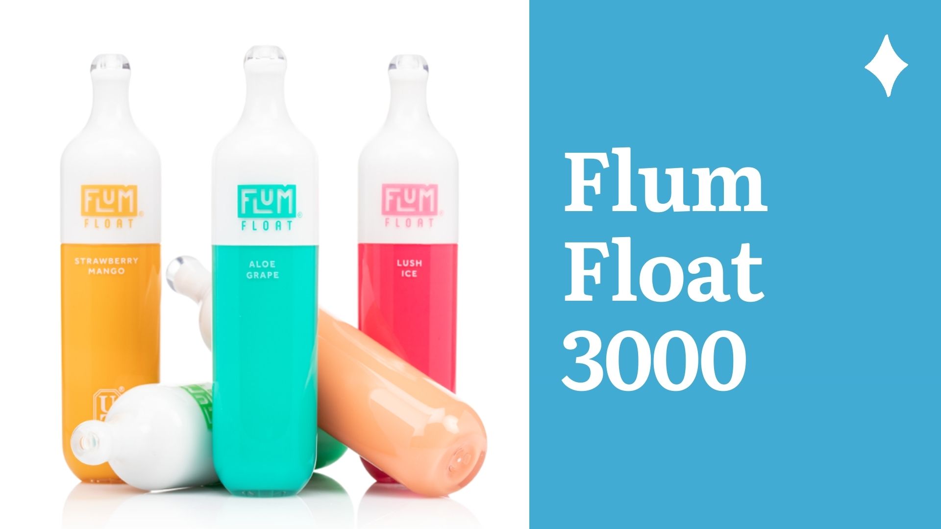 Flum Float 3000