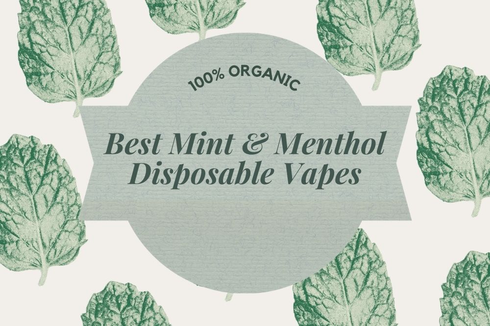 Best Mint Disposable Vape